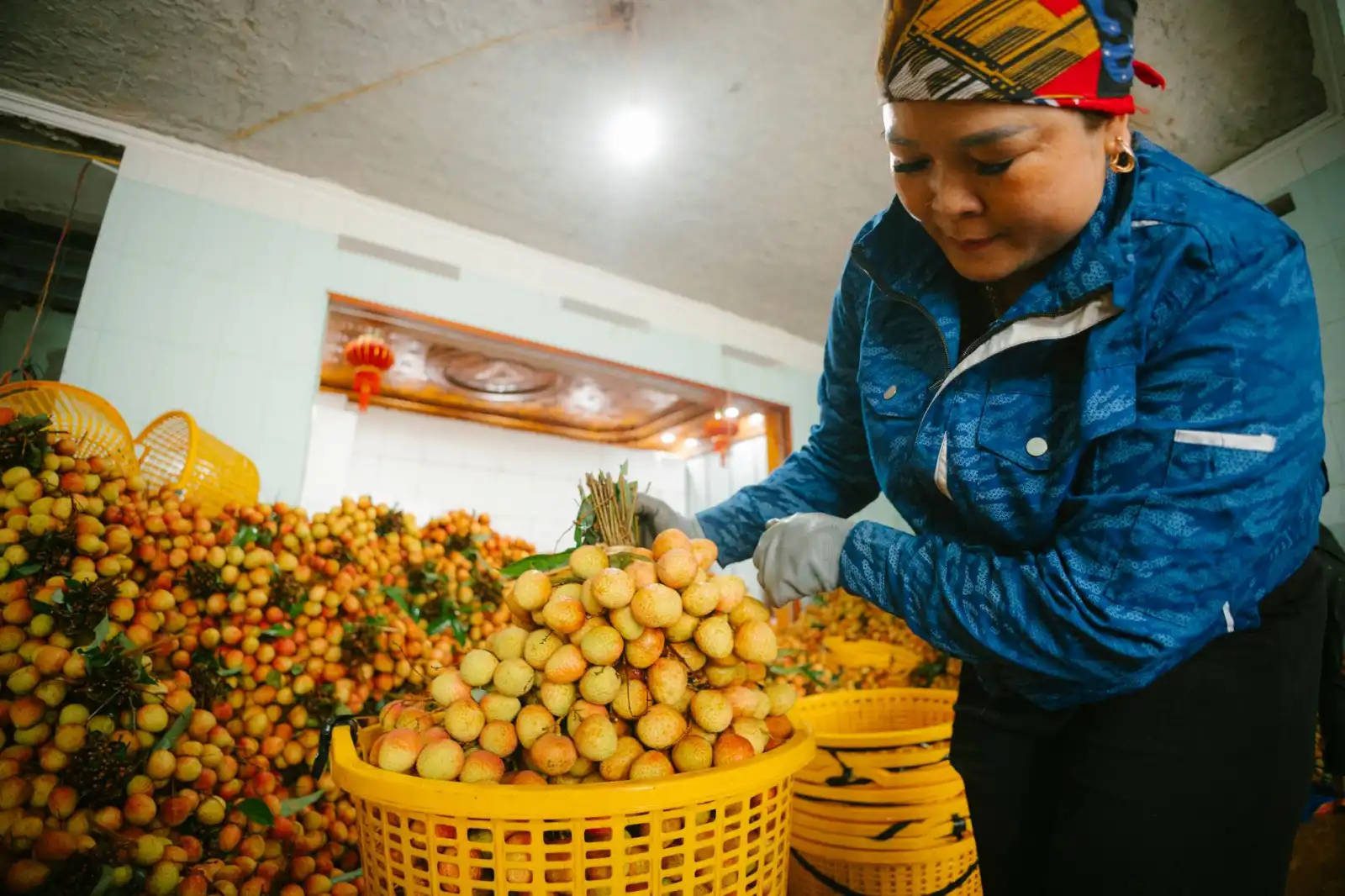 2025年食用油行业质量控制新标准与执行要点解析